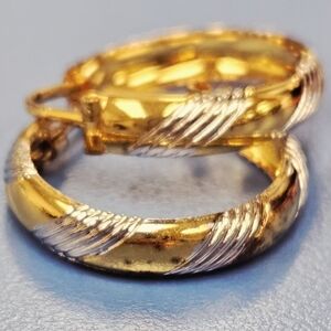 Elegant Gold and Silver Hoop Earrings